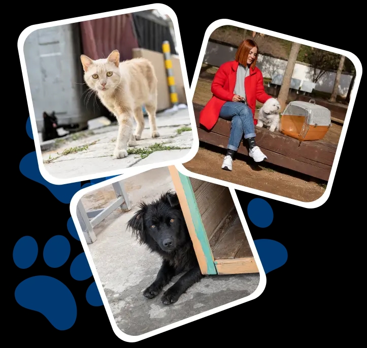 Фотография с животными